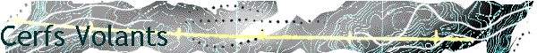 Cerfs Volants