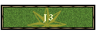 J 3